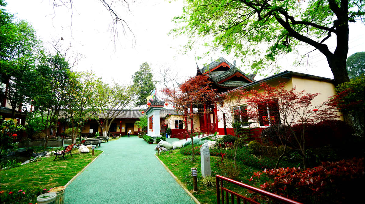 老了去不去養老院？成都養老院推薦哪家？